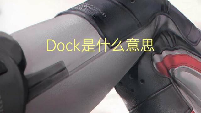 Dock是什么意思 Dock的读音、翻译、用法