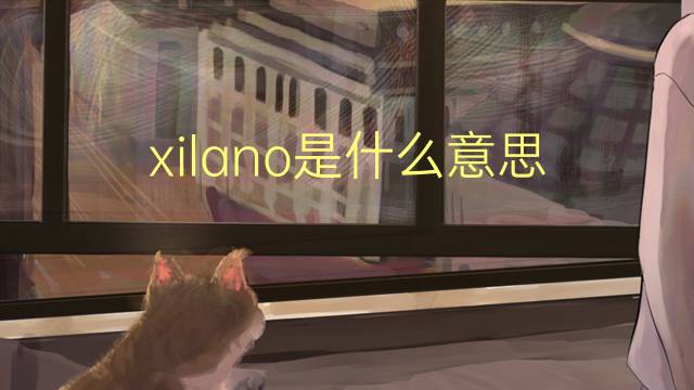 xilano是什么意思 xilano的读音、翻译、用法