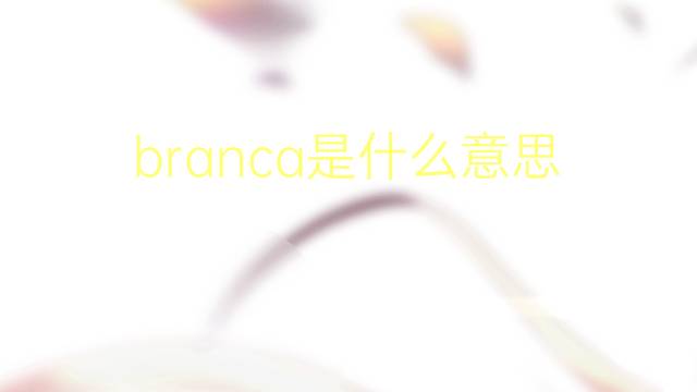 branca是什么意思 branca的读音、翻译、用法