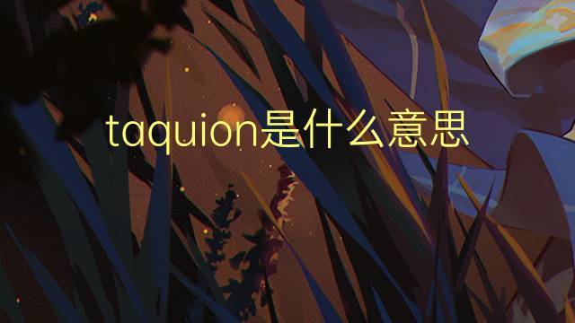 taquion是什么意思 taquion的读音、翻译、用法