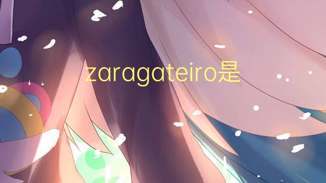 zaragateiro是什么意思 zaragateiro的读音、翻译、用法