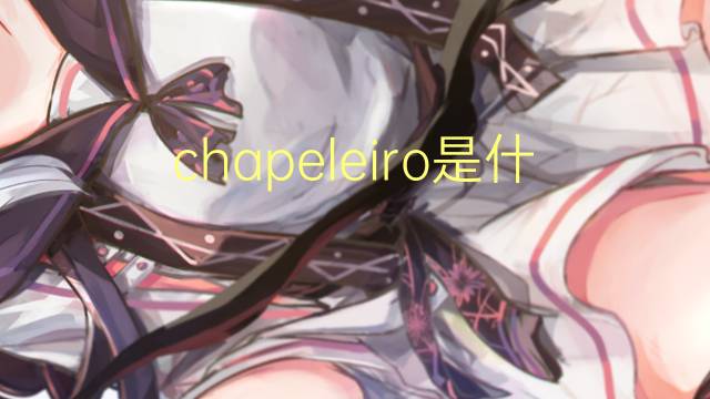 chapeleiro是什么意思 chapeleiro的读音、翻译、用法