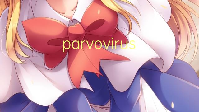 parvovirus suino是什么意思 parvovirus suino的读音、翻译、用法