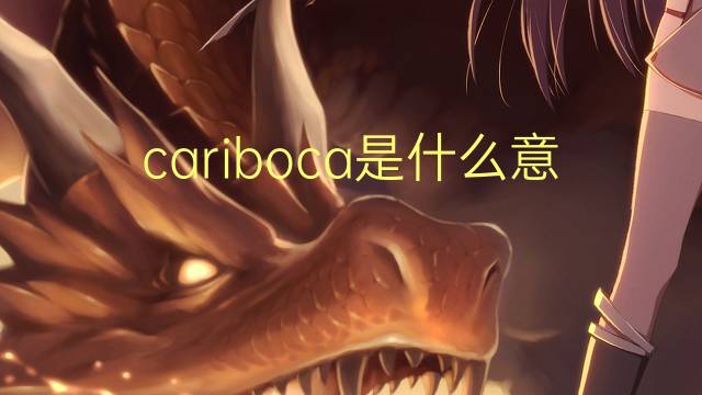 cariboca是什么意思 cariboca的读音、翻译、用法