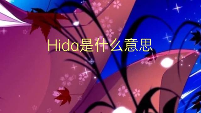 Hida是什么意思 Hida的读音、翻译、用法