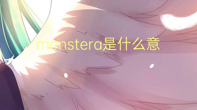 monstera是什么意思 monstera的读音、翻译、用法