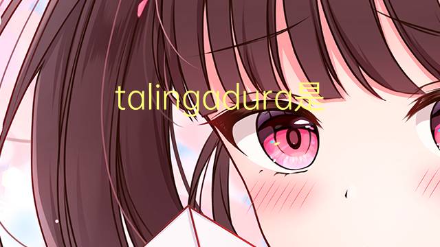 talingadura是什么意思 talingadura的读音、翻译、用法