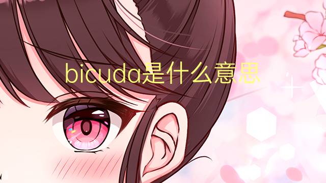 bicuda是什么意思 bicuda的读音、翻译、用法