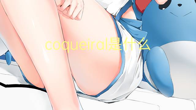 coqueiral是什么意思 coqueiral的读音、翻译、用法