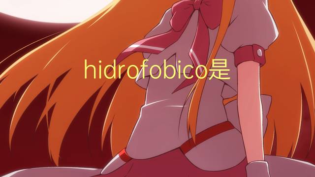 hidrofobico是什么意思 hidrofobico的读音、翻译、用法