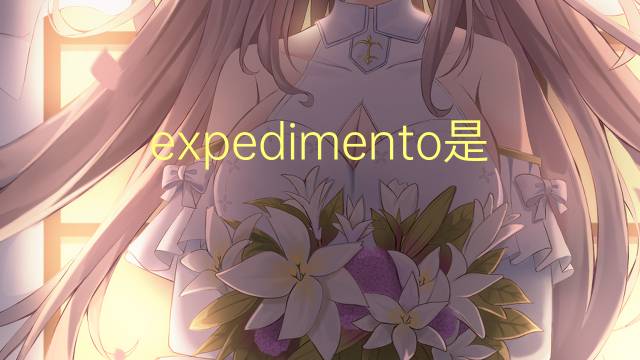 expedimento是什么意思 expedimento的读音、翻译、用法