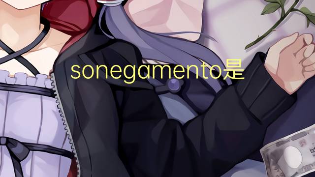 sonegamento是什么意思 sonegamento的读音、翻译、用法