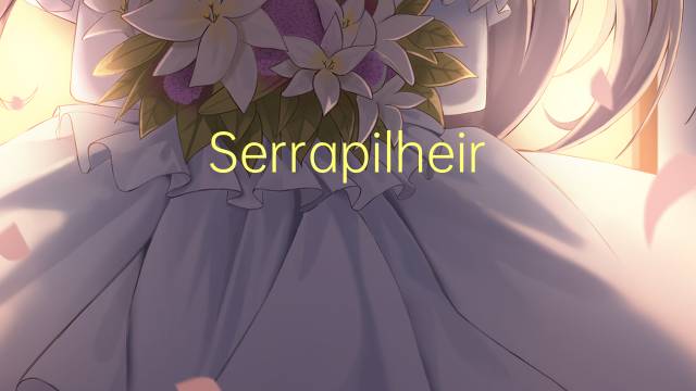 Serrapilheira是什么意思 Serrapilheira的读音、翻译、用法