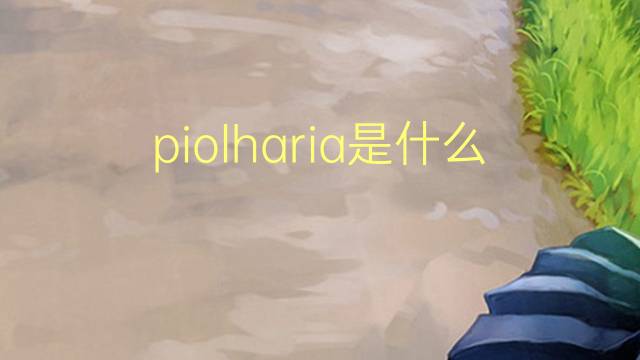 piolharia是什么意思 piolharia的读音、翻译、用法