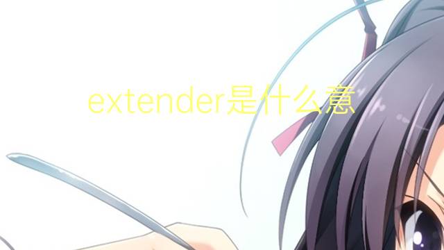 extender是什么意思 extender的读音、翻译、用法