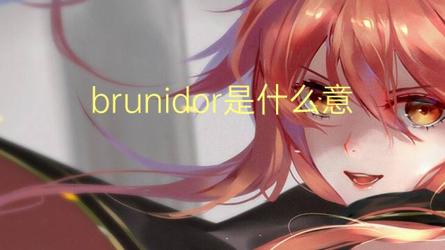 brunidor是什么意思 brunidor的读音、翻译、用法