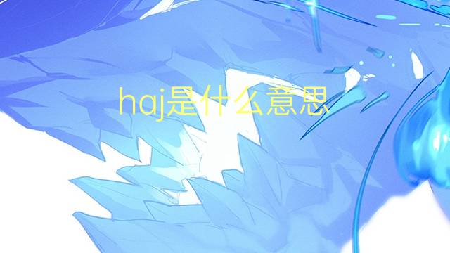 haj是什么意思 haj的读音、翻译、用法