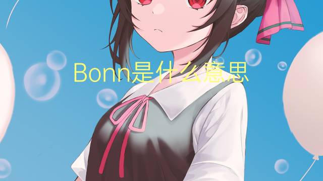 Bonn是什么意思 Bonn的读音、翻译、用法