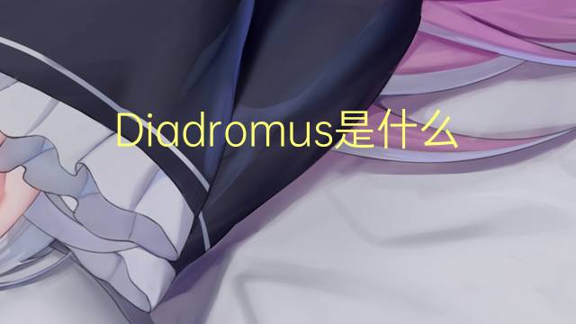 Diadromus是什么意思 Diadromus的读音、翻译、用法