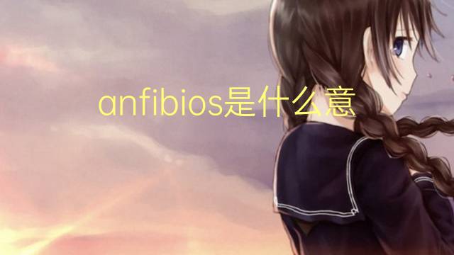 anfibios是什么意思 anfibios的读音、翻译、用法