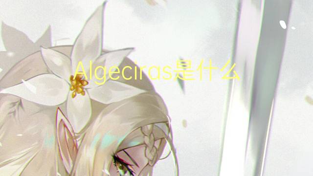 Algeciras是什么意思 Algeciras的读音、翻译、用法