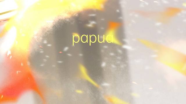 papua-nova guine是什么意思 papua-nova guine的读音、翻译、用法