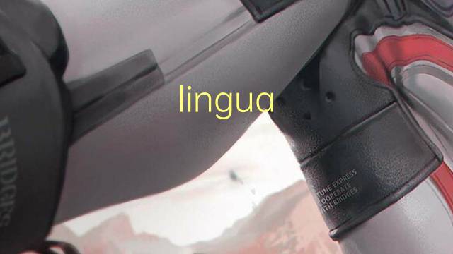 lingua quirguiz是什么意思 lingua quirguiz的读音、翻译、用法