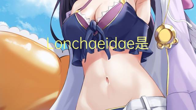 Lonchaeidae是什么意思 Lonchaeidae的读音、翻译、用法