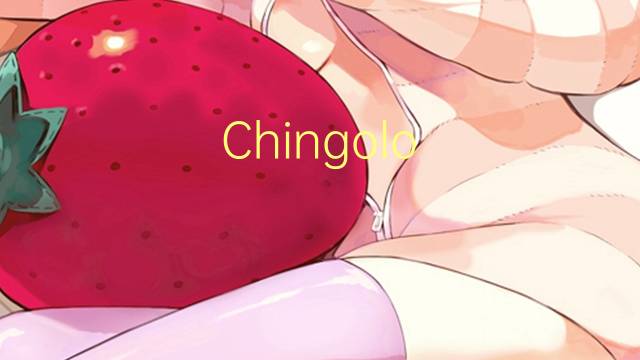 Chingolo Arlequin是什么意思 Chingolo Arlequin的读音、翻译、用法