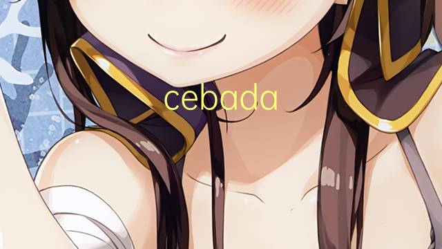 cebada cervecera是什么意思 cebada cervecera的读音、翻译、用法