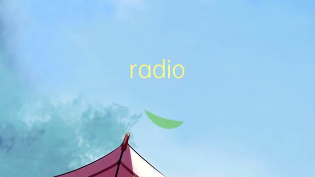 radio pirata是什么意思 radio pirata的读音、翻译、用法