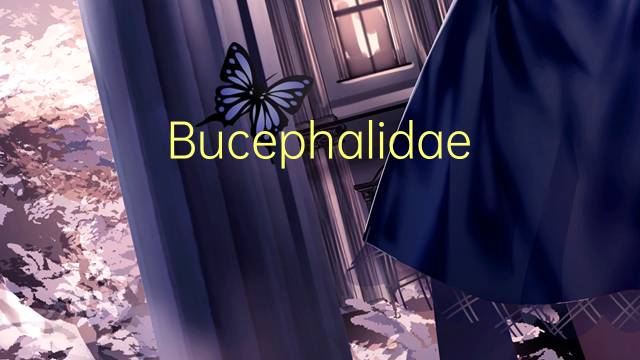 Bucephalidae是什么意思 Bucephalidae的读音、翻译、用法