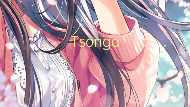 Tsonga shangaan是什么意思 Tsonga shangaan的读音、翻译、用法