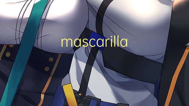 mascarilla medica是什么意思 mascarilla medica的读音、翻译、用法