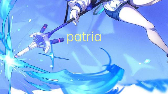 patria potestad是什么意思 patria potestad的读音、翻译、用法