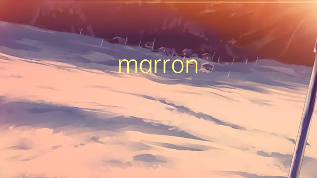 marron claro是什么意思 marron claro的读音、翻译、用法