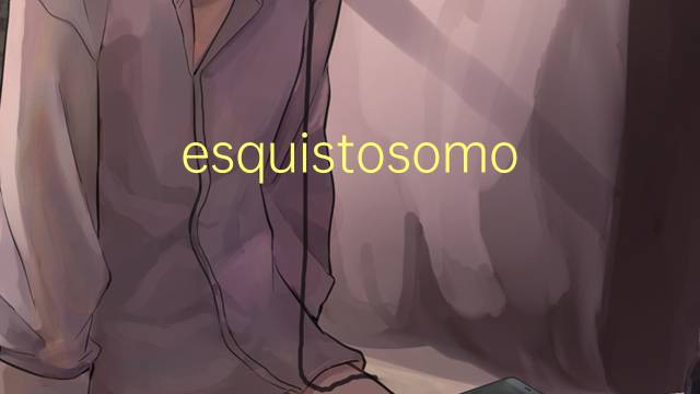 esquistosomose是什么意思 esquistosomose的读音、翻译、用法