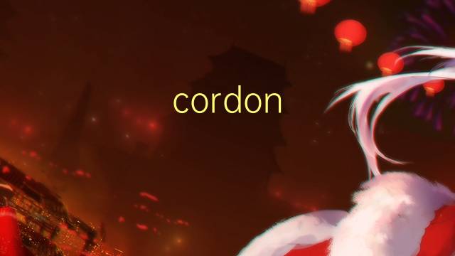 cordon de la acera是什么意思 cordon de la acera的读音、翻译、用法