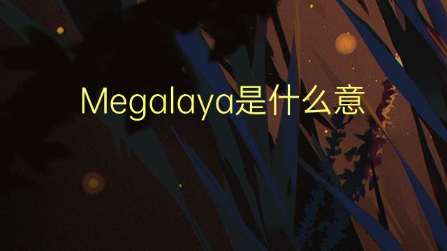 Megalaya是什么意思 Megalaya的读音、翻译、用法