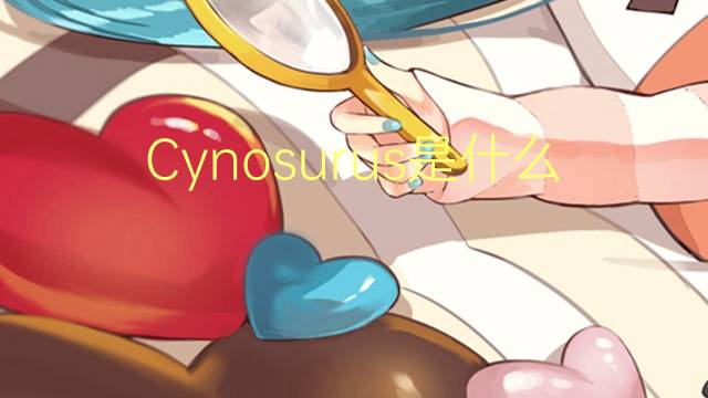 Cynosurus是什么意思 Cynosurus的读音、翻译、用法