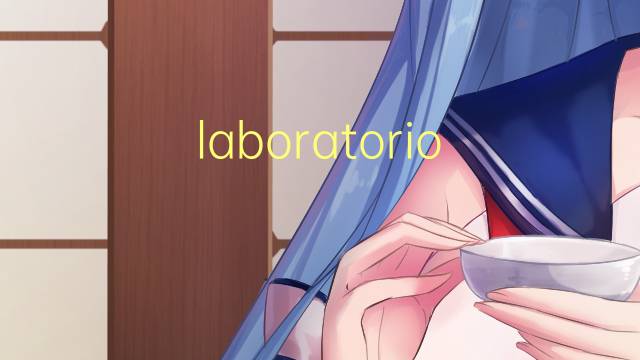 laboratorio externo是什么意思 laboratorio externo的读音、翻译、用法