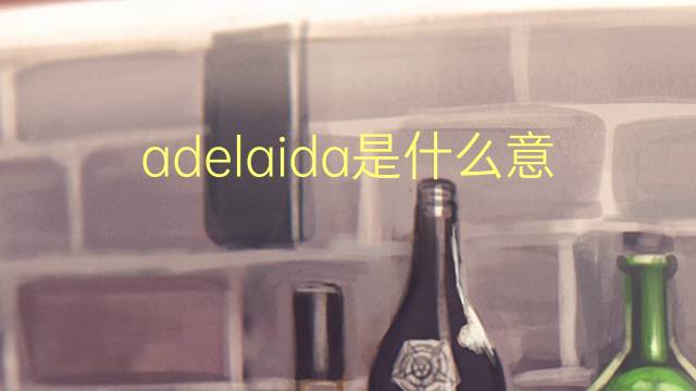 adelaida是什么意思 adelaida的读音、翻译、用法