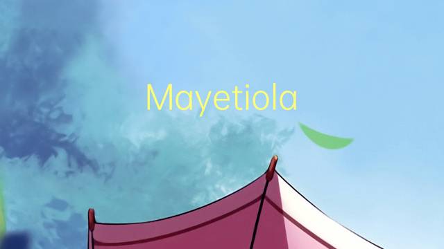 Mayetiola destructor是什么意思 Mayetiola destructor的读音、翻译、用法