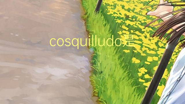 cosquilludo是什么意思 cosquilludo的读音、翻译、用法