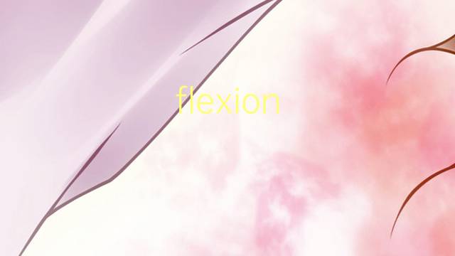 flexion mecanica是什么意思 flexion mecanica的读音、翻译、用法