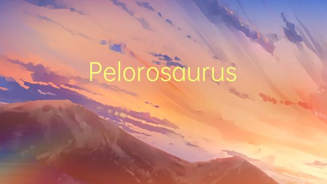 Pelorosaurus是什么意思 Pelorosaurus的读音、翻译、用法