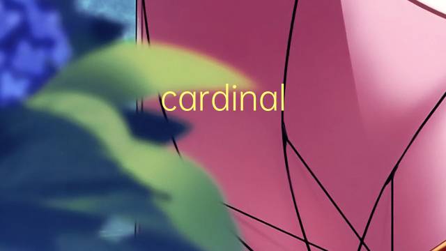 cardinal inaccesible是什么意思 cardinal inaccesible的读音、翻译、用法