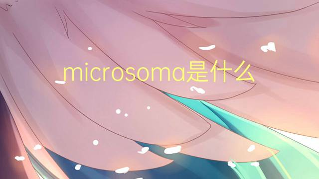 microsoma是什么意思 microsoma的读音、翻译、用法