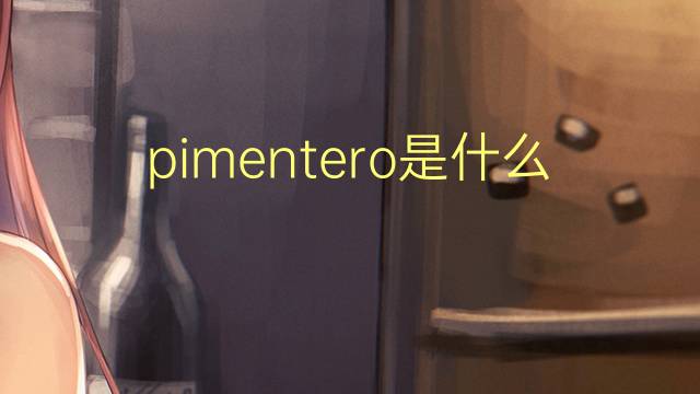 pimentero是什么意思 pimentero的读音、翻译、用法