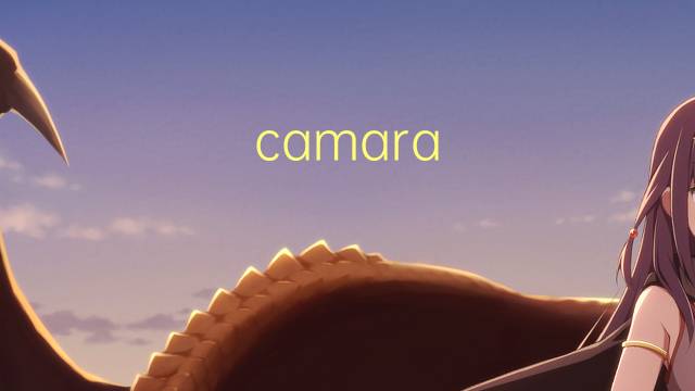 camara comum是什么意思 camara comum的读音、翻译、用法